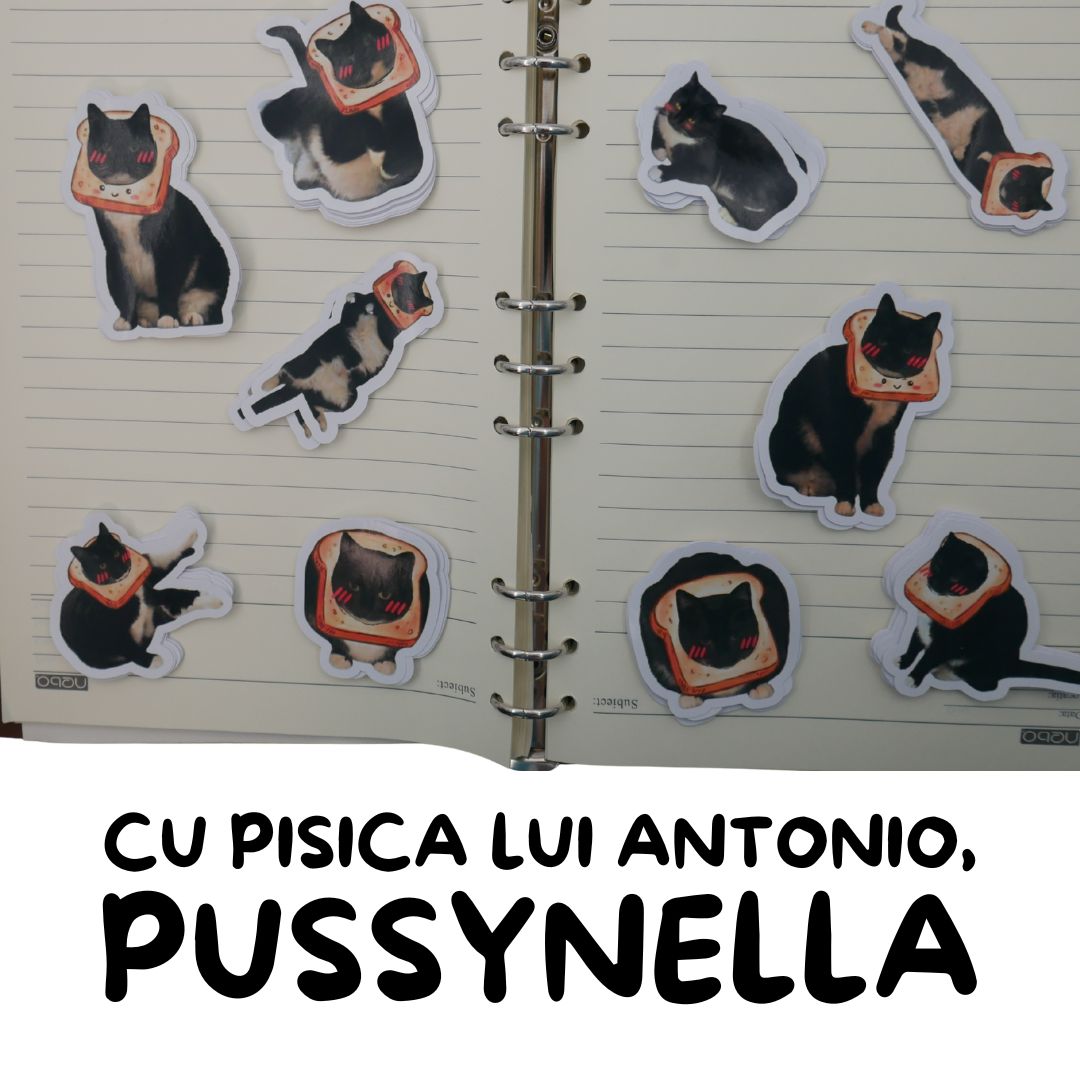 Set 10 Stickere Pussynella