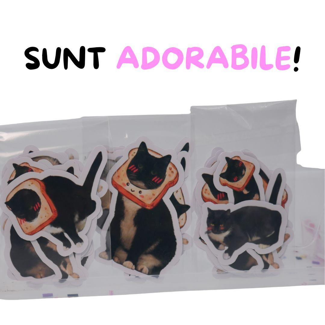 Set 10 Stickere Pussynella